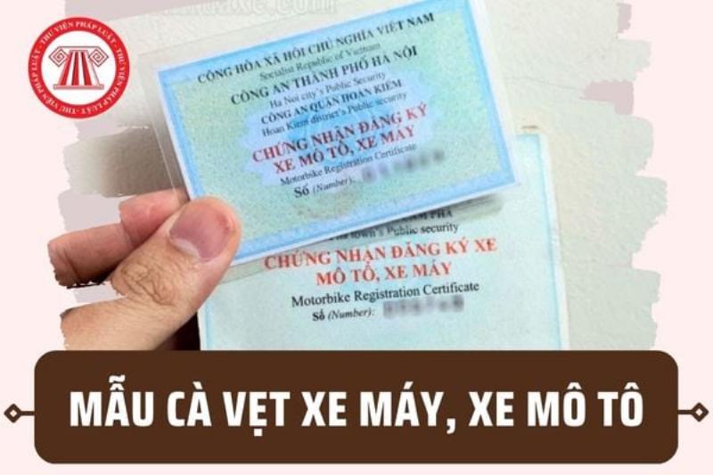 Cà vẹt xe máy mẫu mới nhất