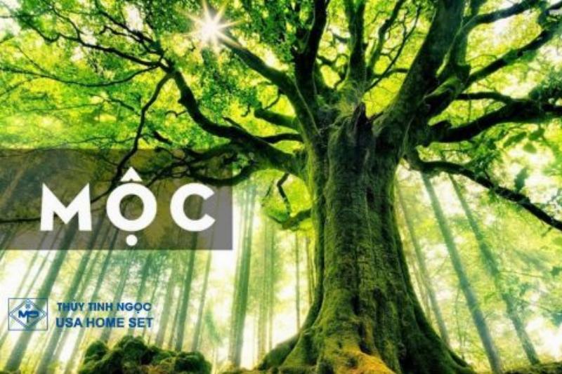 Mệnh Mộc hợp với màu xanh lá cây