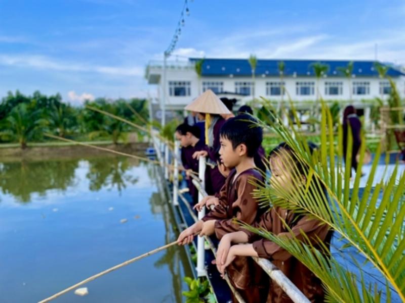 Hình ảnh cánh đồng lúa và vườn trái cây trĩu quả ở Long An
