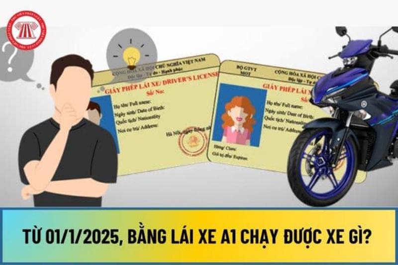 Quy Định Bằng Lái Xe A1