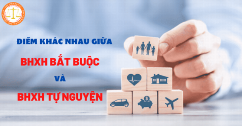 So sánh bảo hiểm bắt buộc và tự nguyện