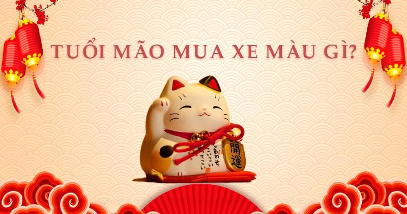 Bảng màu sắc kỵ với người tuổi Mão, cần tránh khi chọn xe.