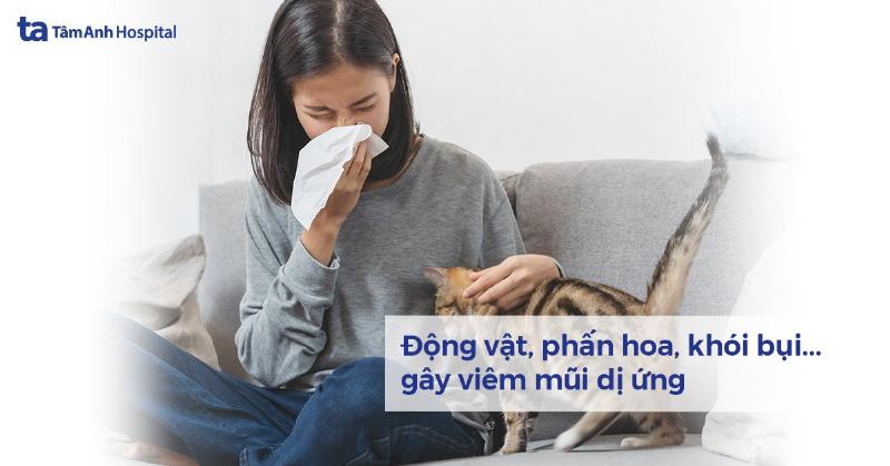 Hình ảnh minh họa một bản đồ chất lượng không khí của Việt Nam hiển thị các mức độ ô nhiễm khác nhau ở các vùng miền, với các chấm đỏ/cam tập trung ở đô thị lớn