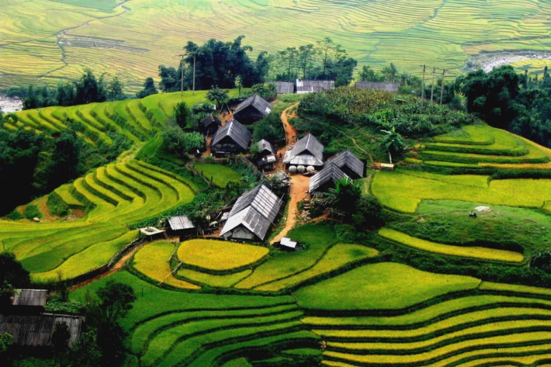 Bản Tả Van với những ngôi nhà truyền thống nằm giữa ruộng bậc thang, một địa điểm du lịch Sapa yên bình.