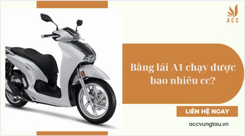 Hinh anh cac loai xe may, xe tay ga, xe con tay duoi 175cc phu hop bang lai A1