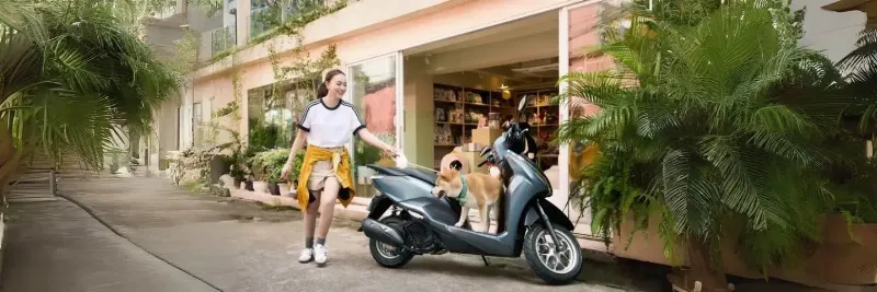 Người mệnh Thổ chọn xe màu trắng: Lựa chọn phong thủy hiện đại cho chiếc xe cá nhân