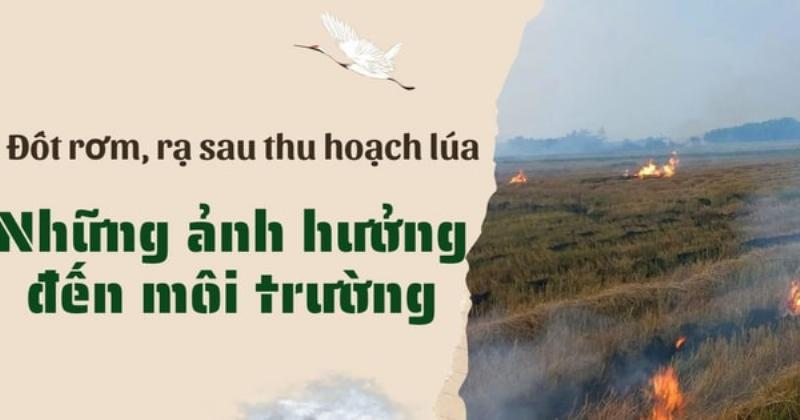 Cảnh tượng nông dân đốt rơm rạ trên cánh đồng sau vụ thu hoạch, khói bay mù mịt, góp phần vào ô nhiễm không khí nông nghiệp