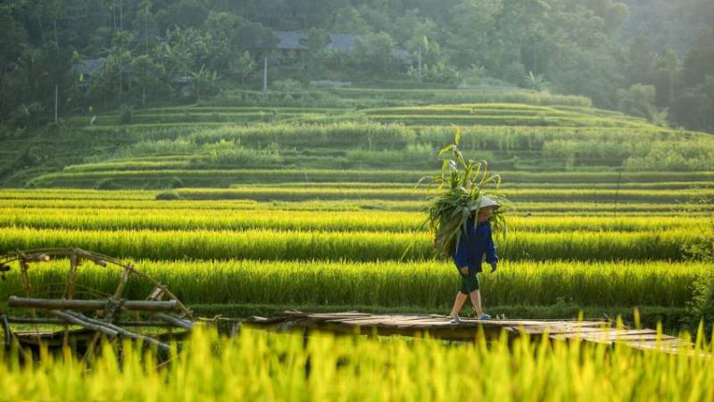 Đường đèo Pha Đin, một cung đường thử thách ở Điện Biên (biển số 27)