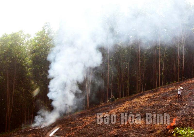 Cảnh ùn tắc giao thông nghiêm trọng với khói bụi từ xe cộ bốc lên, minh họa tác động của giao thông đến ô nhiễm không khí