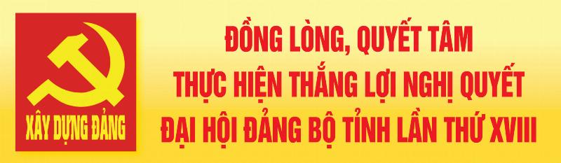 Đọc kỹ hợp đồng thuê xe ô tô tự lái Nha Trang để tránh rủi ro không đáng có