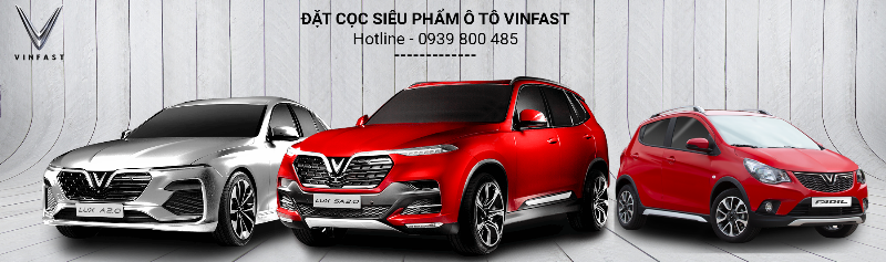 Lựa chọn các options phù hợp với xe Vinfast