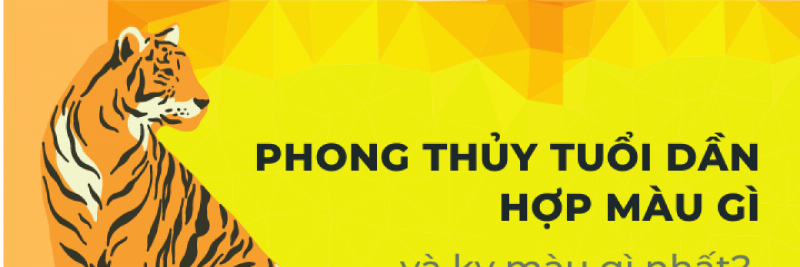 Các màu sắc được coi là kỵ với người tuổi Dần theo phong thủy