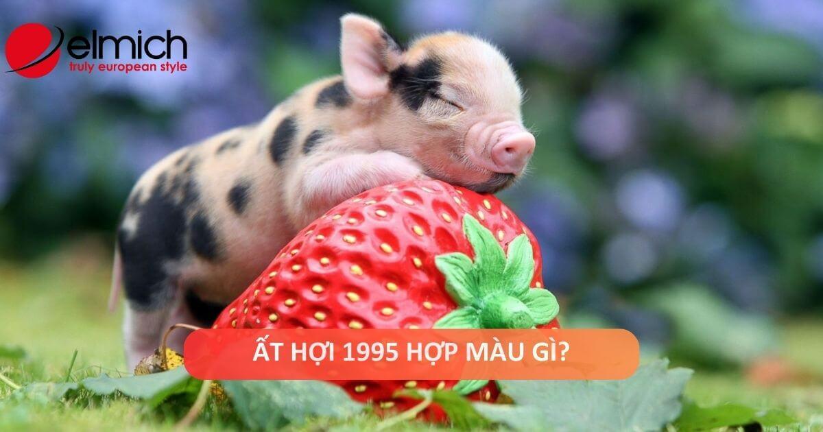 Hình ảnh gợi ý các màu sắc đỏ, hồng, tím, xanh lá cây phù hợp với người tuổi ất hợi mệnh hỏa hợp màu gì trong trang phục, phụ kiện
