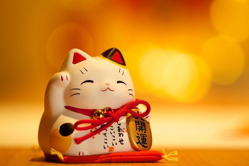 Người mệnh Hoả nên tránh sử dụng màu xanh dương đậm và màu đen để không bị suy yếu năng lượng bản mệnh và tránh gặp điều không may