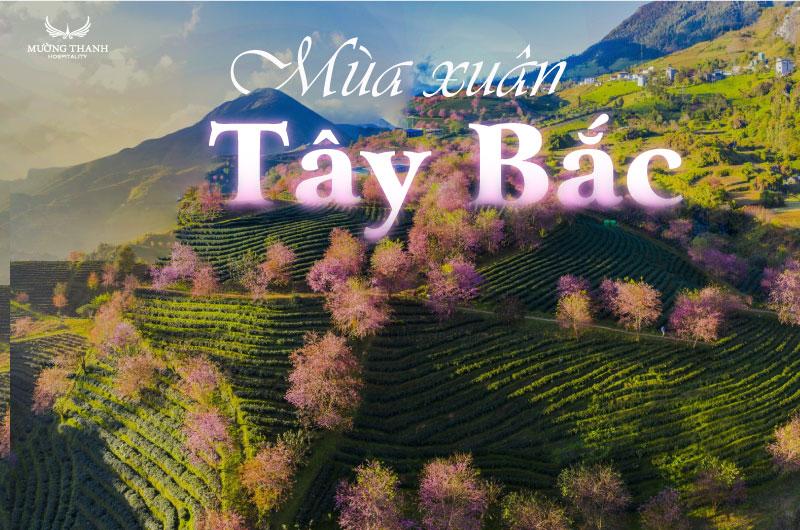 Sapa mùa xuân rực rỡ với sắc hoa đào và hoa mận nở rộ khắp các bản làng, tạo nên khung cảnh thơ mộng cho chuyến du lịch Sapa.