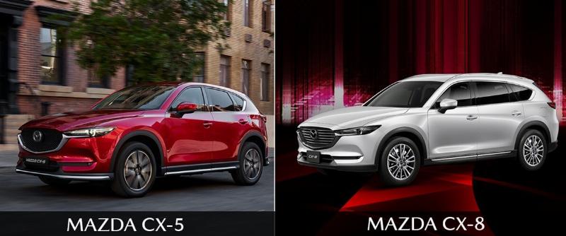 Xe SUV hoặc crossover chở gia đình đi dã ngoại